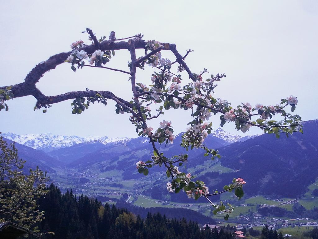 Ferienwohnung Hof Hamoos Kitzbühel Exterior foto